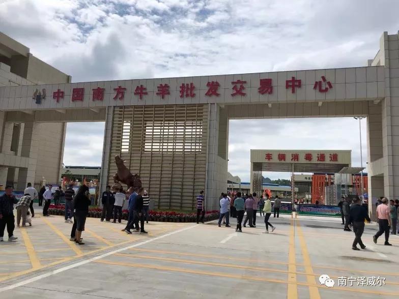 红桃国际参加中国南方牛羊批发交易市场开业展览会