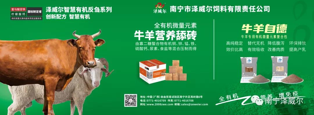 红桃国际参加中国南方牛羊批发交易市场开业展览会
