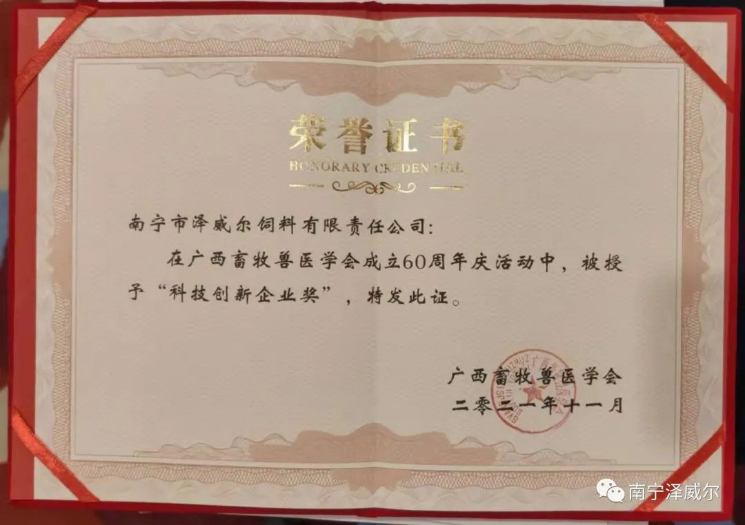 南宁红桃国际获“科技创新企业奖”