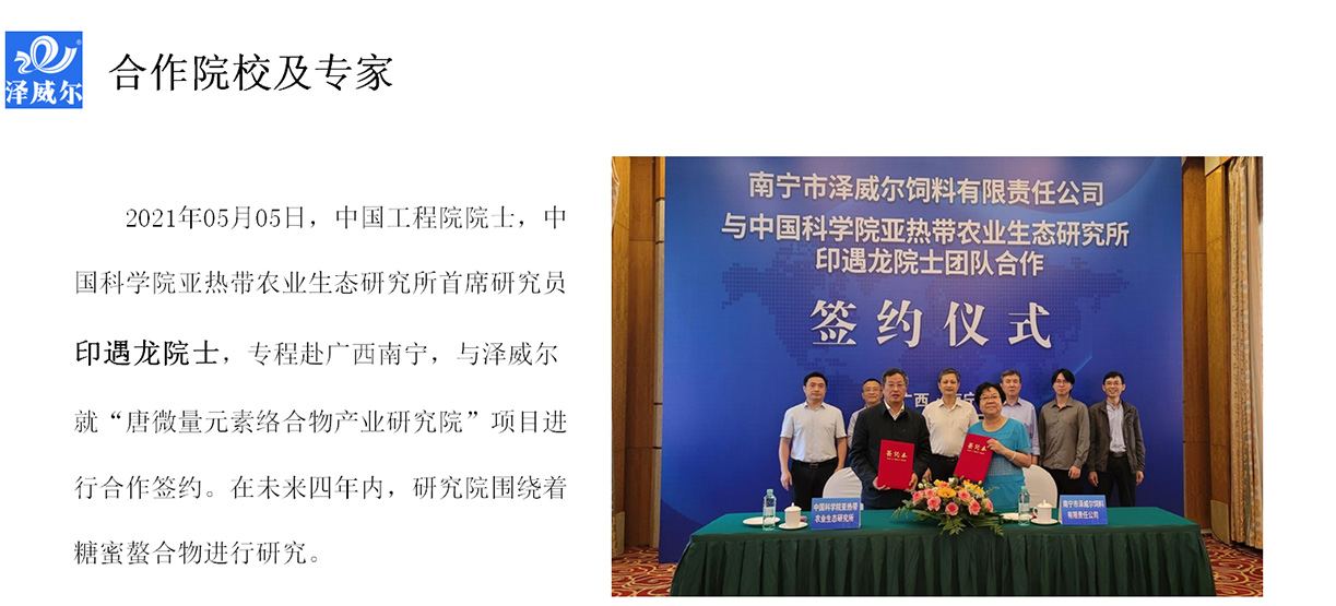 红桃国际与院校合作