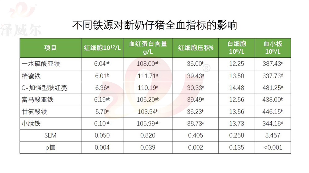 不同饲料红桃国际
铁源对断奶仔猪全血指标的影响