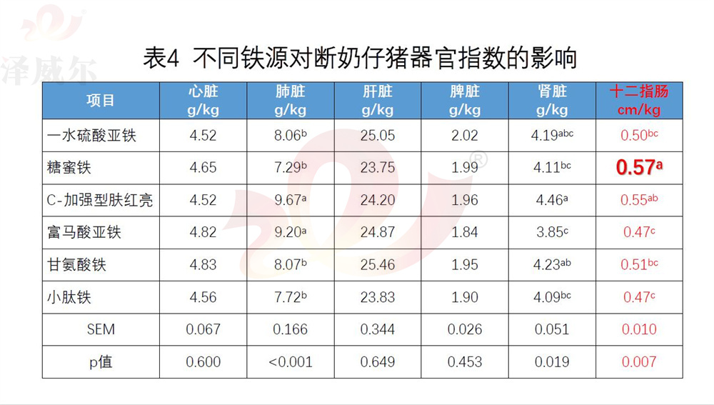 不同饲料红桃国际
铁源对断奶仔猪器官指数的影响