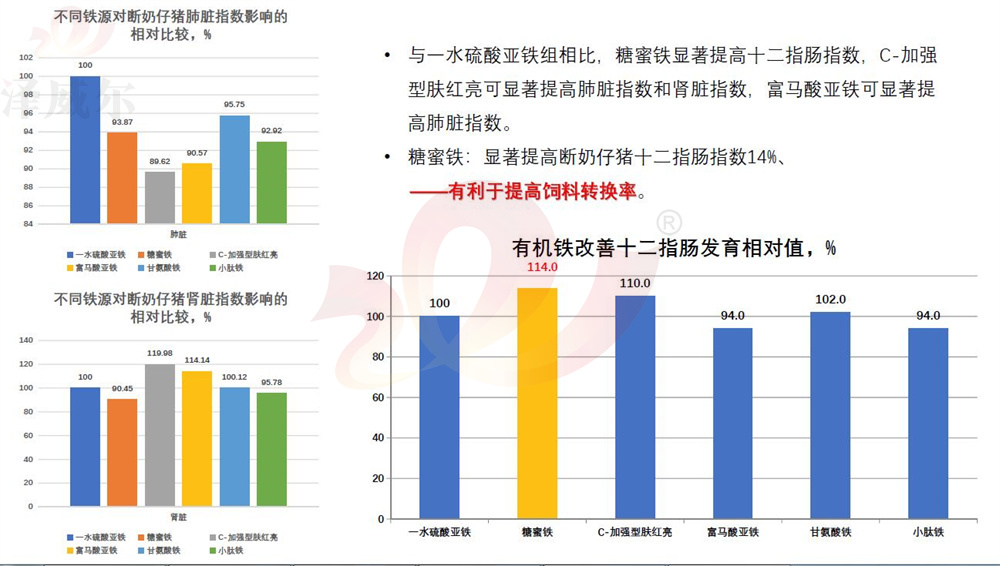 不同饲料红桃国际
铁源对断奶仔猪肺脏指数影响的相对比较