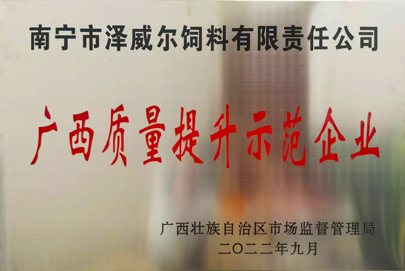 红桃国际荣获广西质量提升示范企业称号2