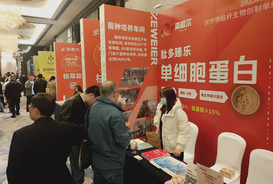 但细胞蛋白肽多臻乐