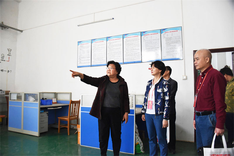 良庆区人大常委会检查组莅临有机微量元素厂家红桃国际检查指导