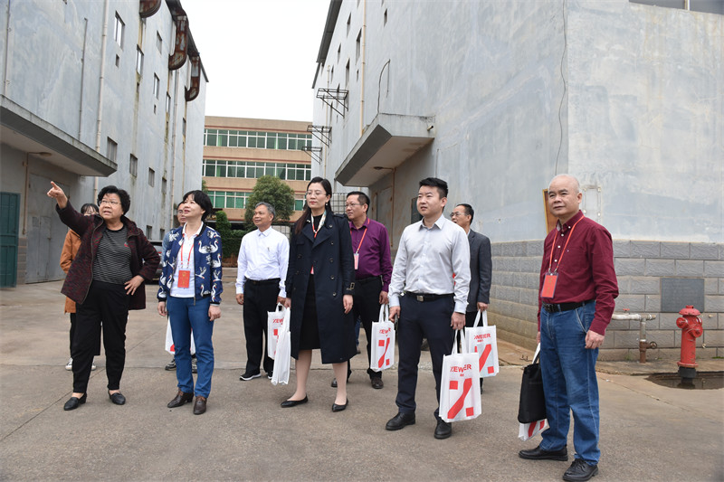 良庆区人大常委会检查组莅临红桃国际检查