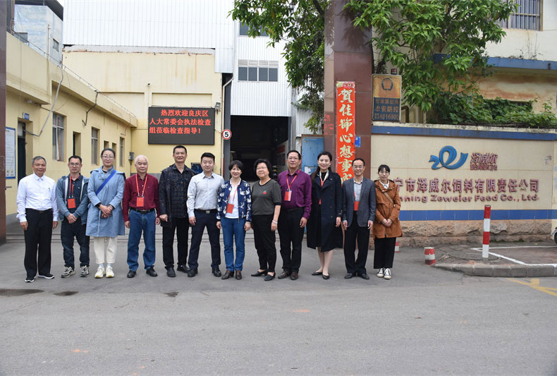 良庆区人大常委会检查组莅临红桃国际检查指导
