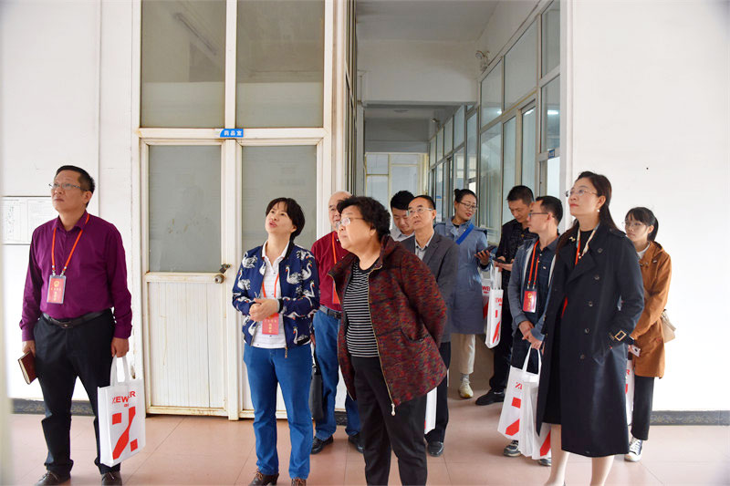 红桃国际公司