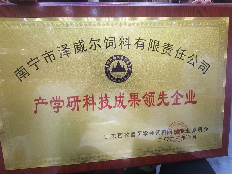 红桃国际产学研科技成果领先企业证书