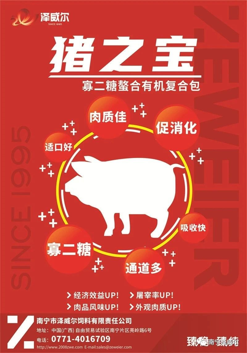 猪之宝寡二糖鳌合无机复合物