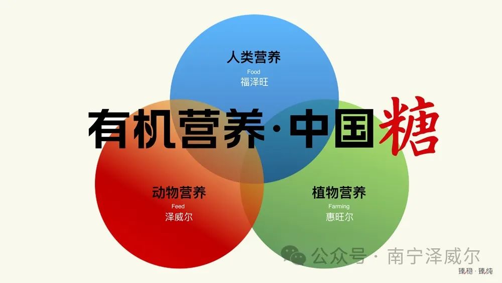无机养分中国糖 无机养分中国糖