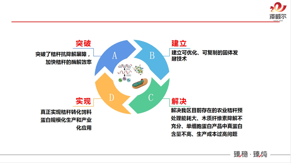 南方草食动物产业创新联盟成立大会 (1)