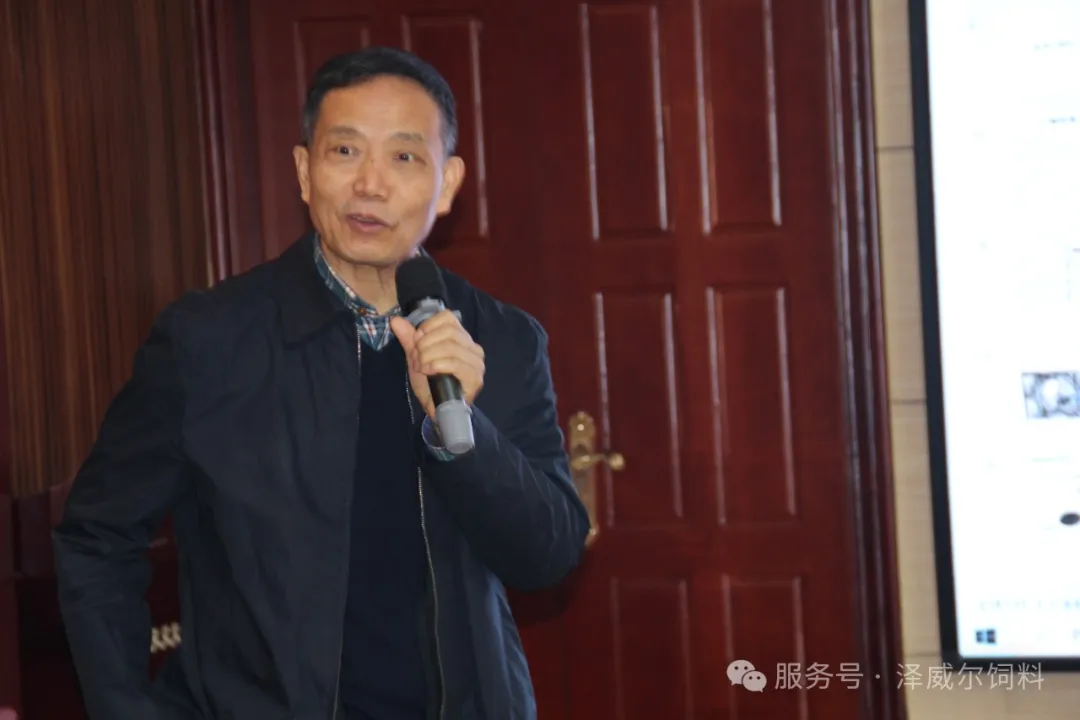 红桃国际2024年经销商会 (13)