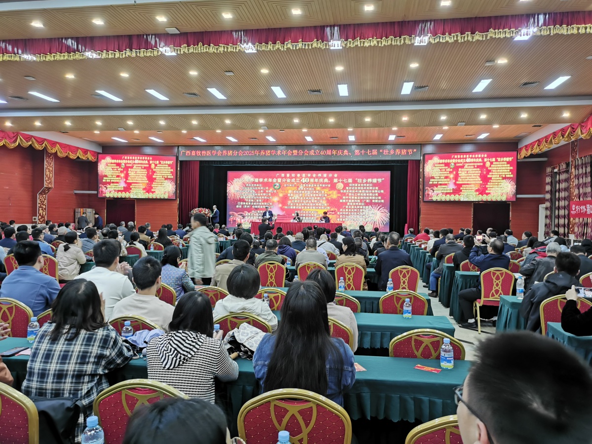 2025年壮乡养猪节