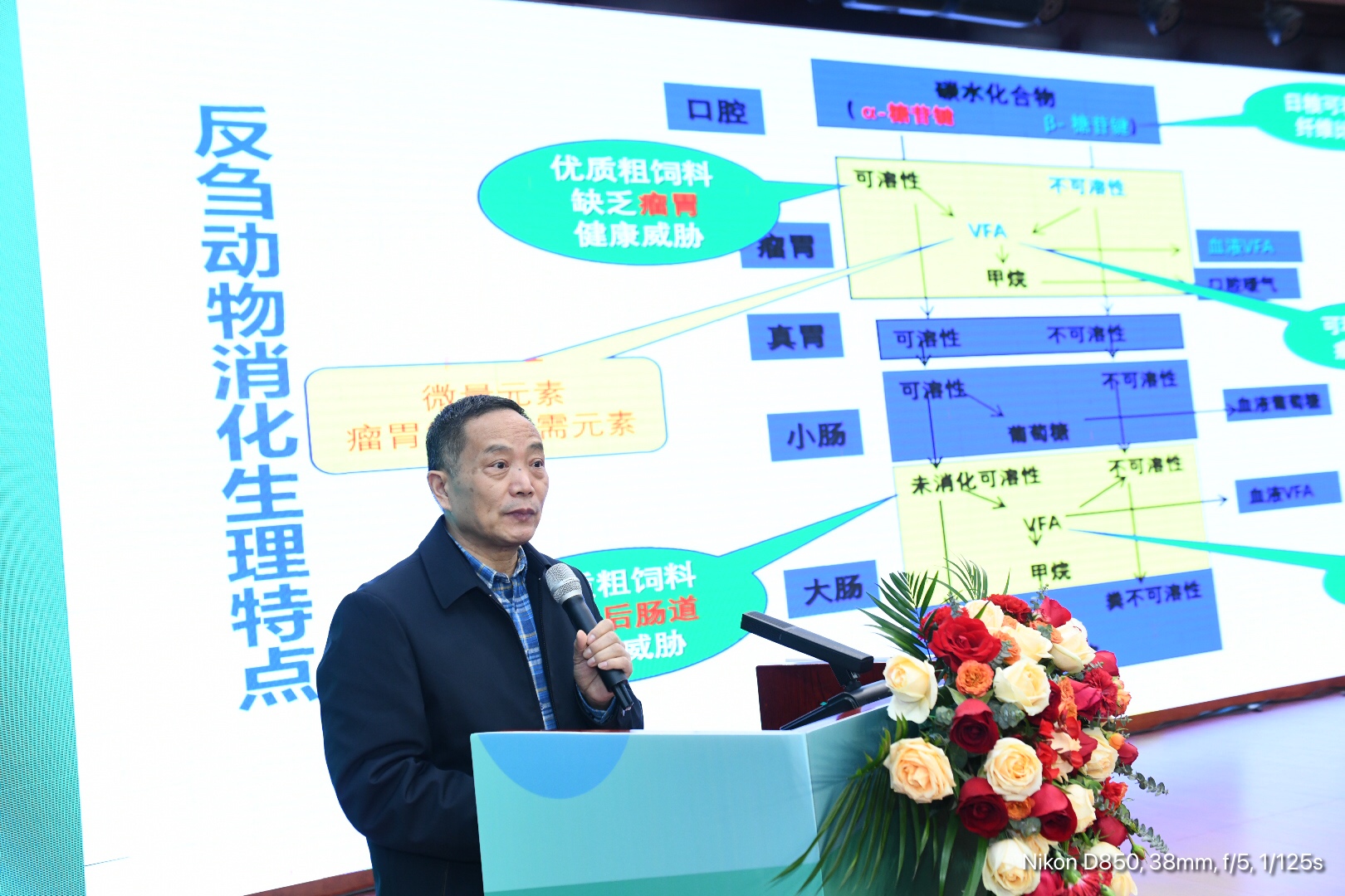 杨在宾传授