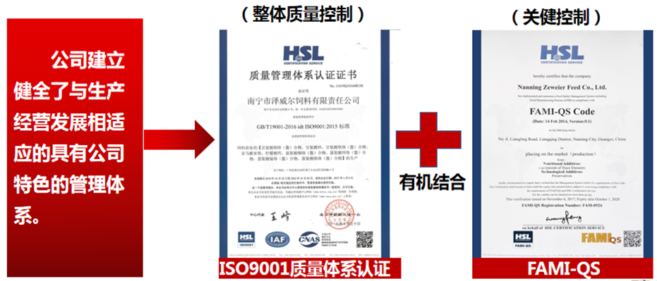 红桃国际质量认证体系