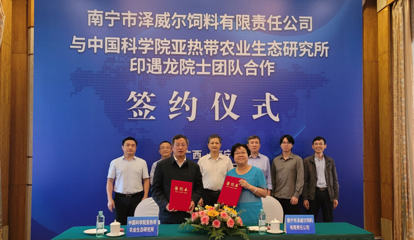 红桃国际公司与印遇龙团队签约合作