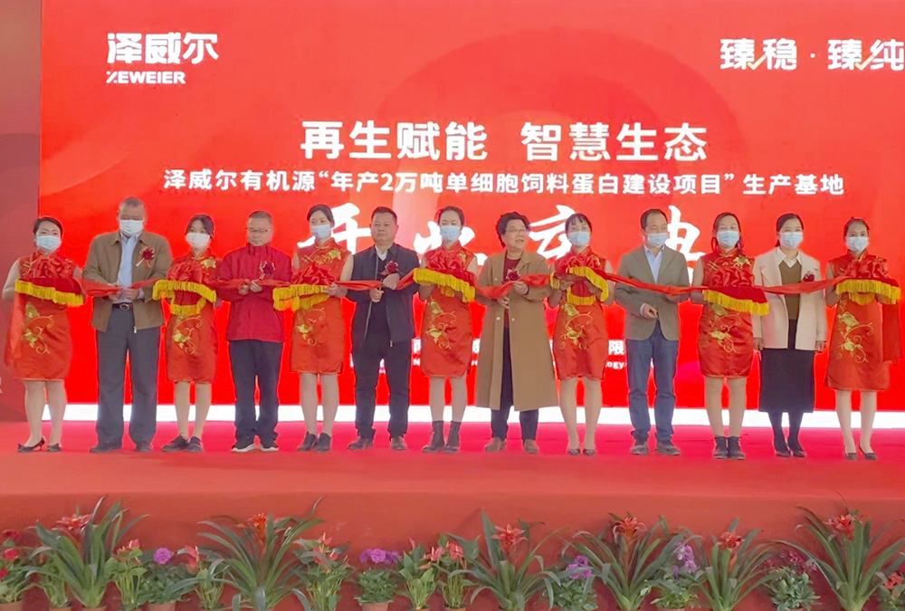 年产2万吨饲料卵白基地完工停业