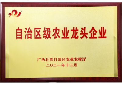 南宁红桃国际荣获自治区级农业龙头企业称号