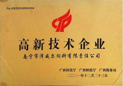 南宁红桃国际获评2021年高新技术企业