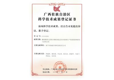 红桃国际获广西壮族自治区科学技术成果登记证书