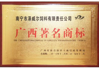 红桃国际获广西著名商标
